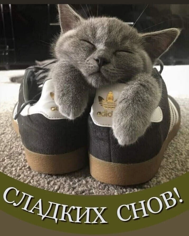Доброй вам ночи, до завтра..)) 💖😻