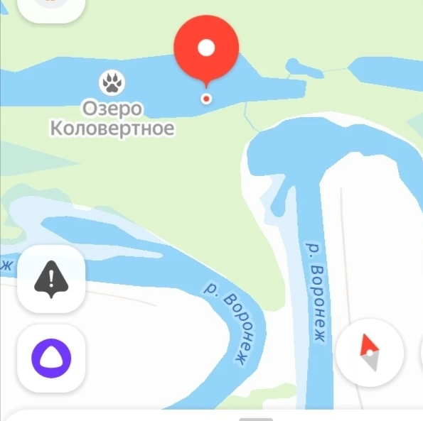 Подскажите как тут с хищником?