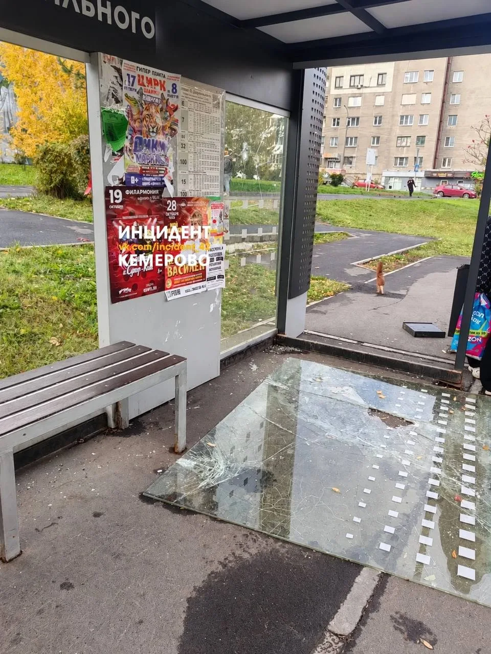 *Делают новое остекление остановки*