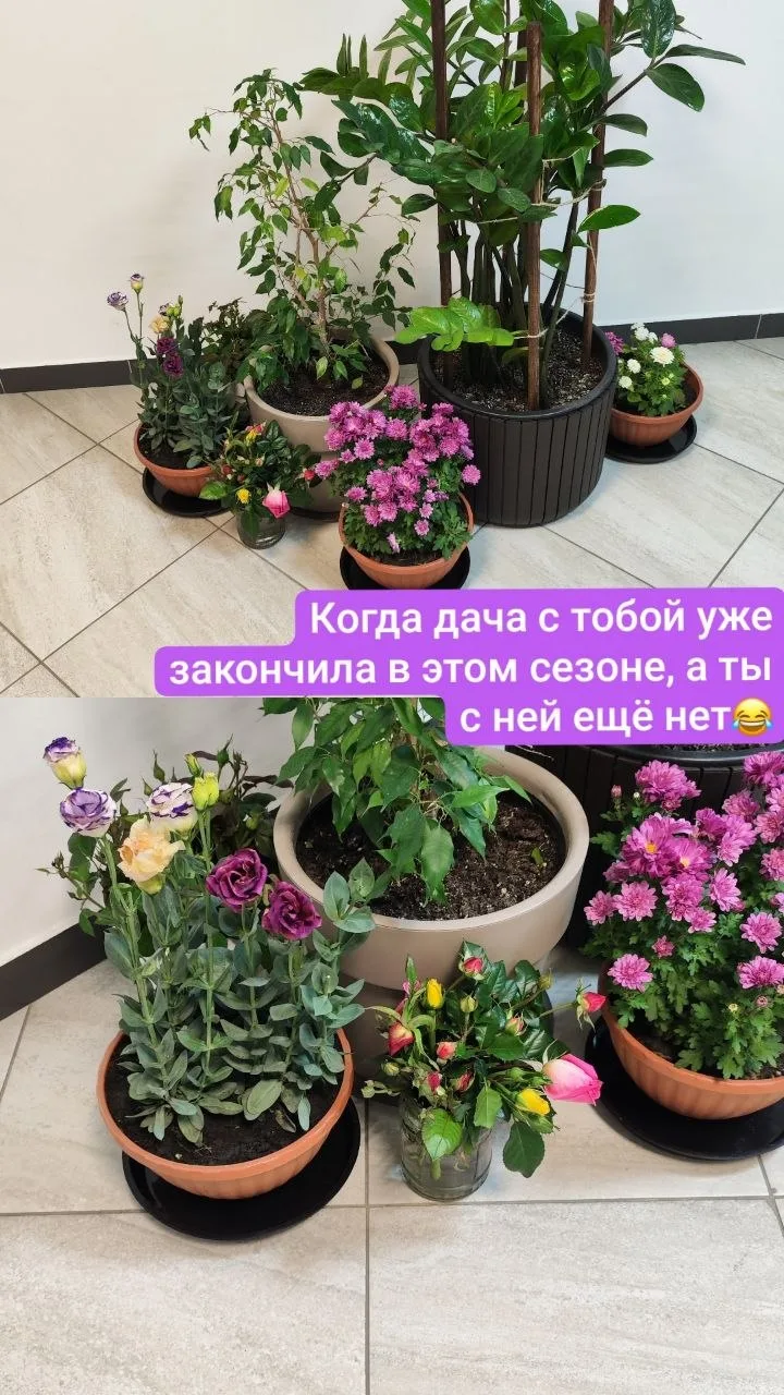 Фотоотчёт за субботу 😍