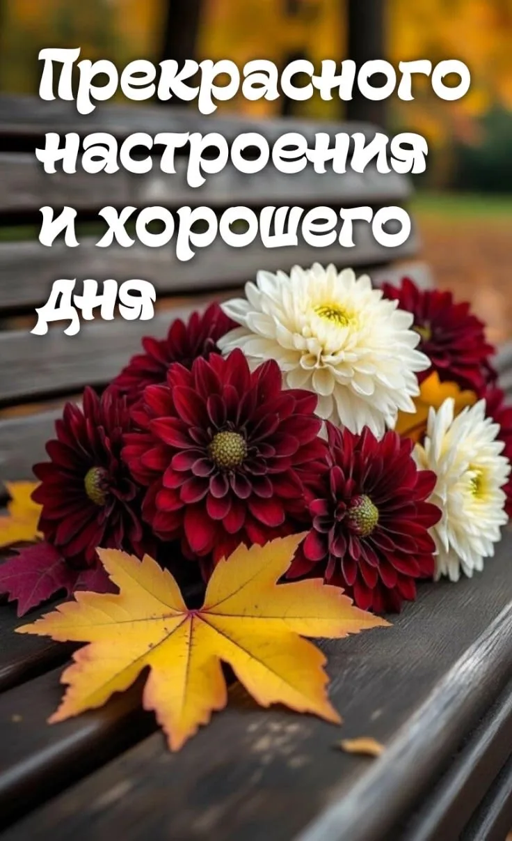 🥰Открытки и поздравления!