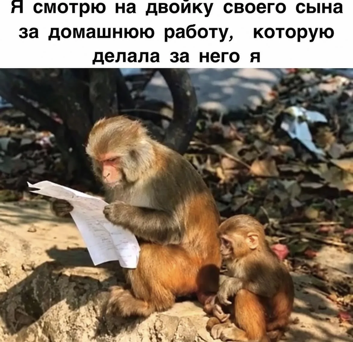 Но леща всё равно сын получил