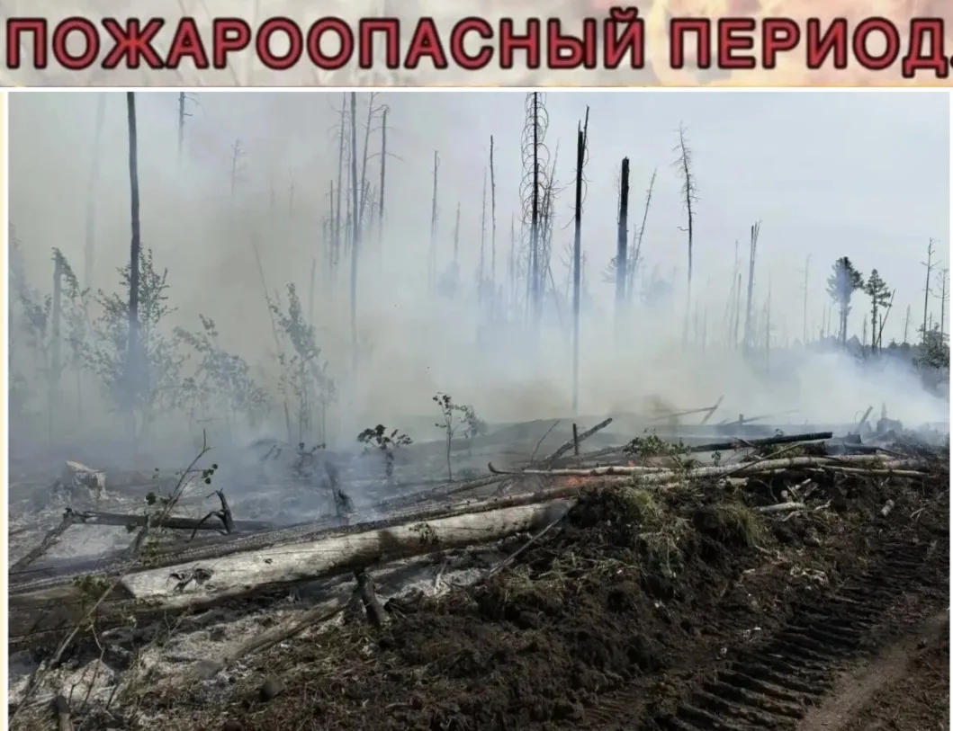 ⚡⚡⚡По иску прокурора суд взыскал с местного жителя расходы, понесенные при тушении пожара