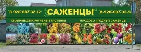 Уважаемые участники , сезон открыт для посадки растений🌳