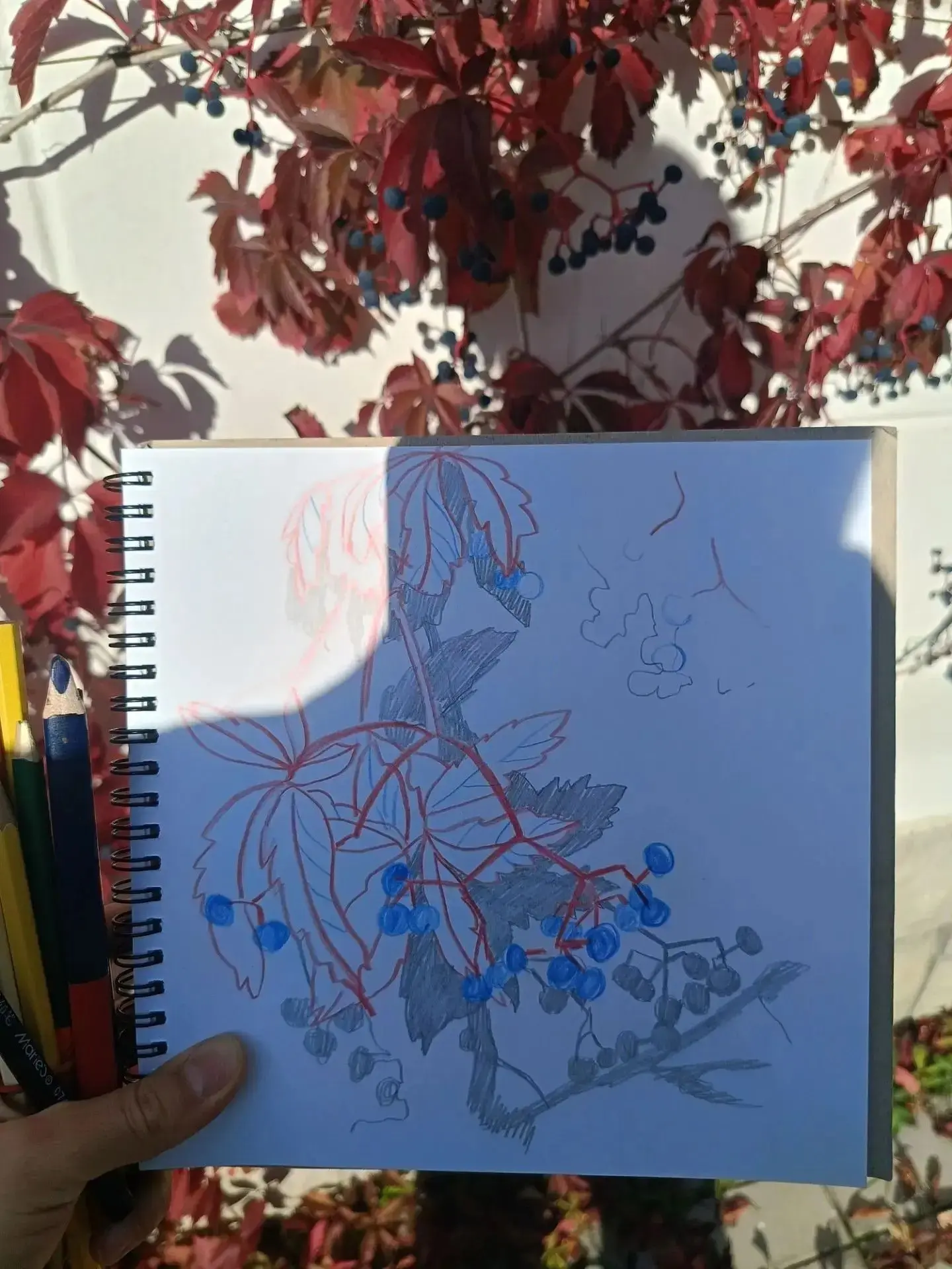 🎨Пленэрные занятия на художественном отделении🎨