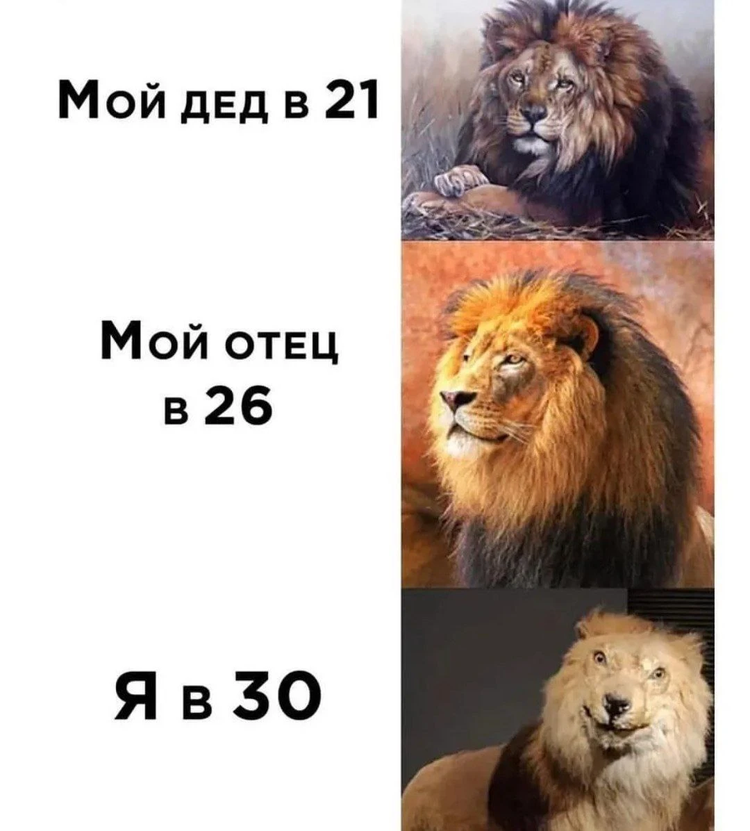 Фото