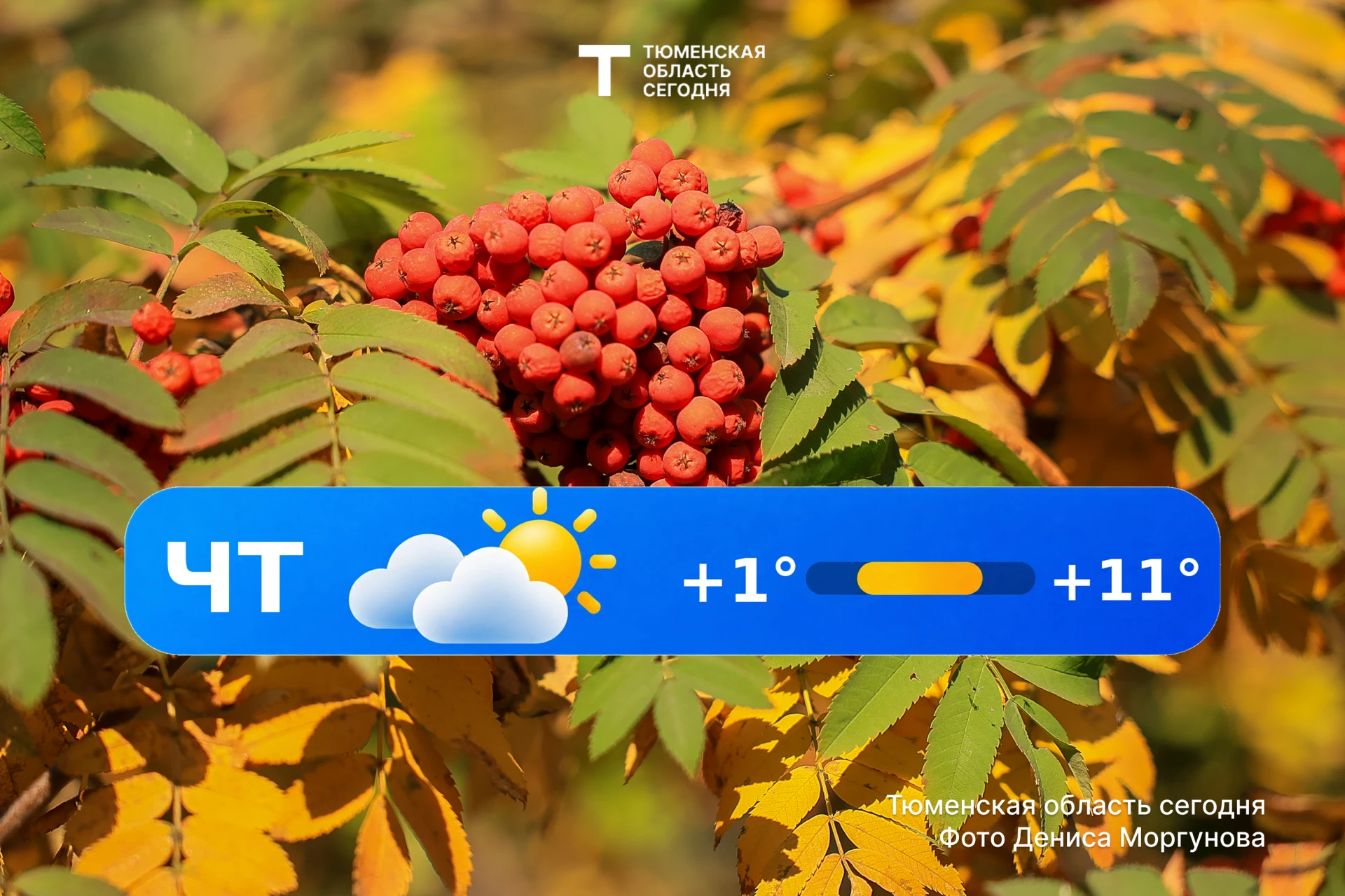 🍂 Доброе утро, Тюменская область!