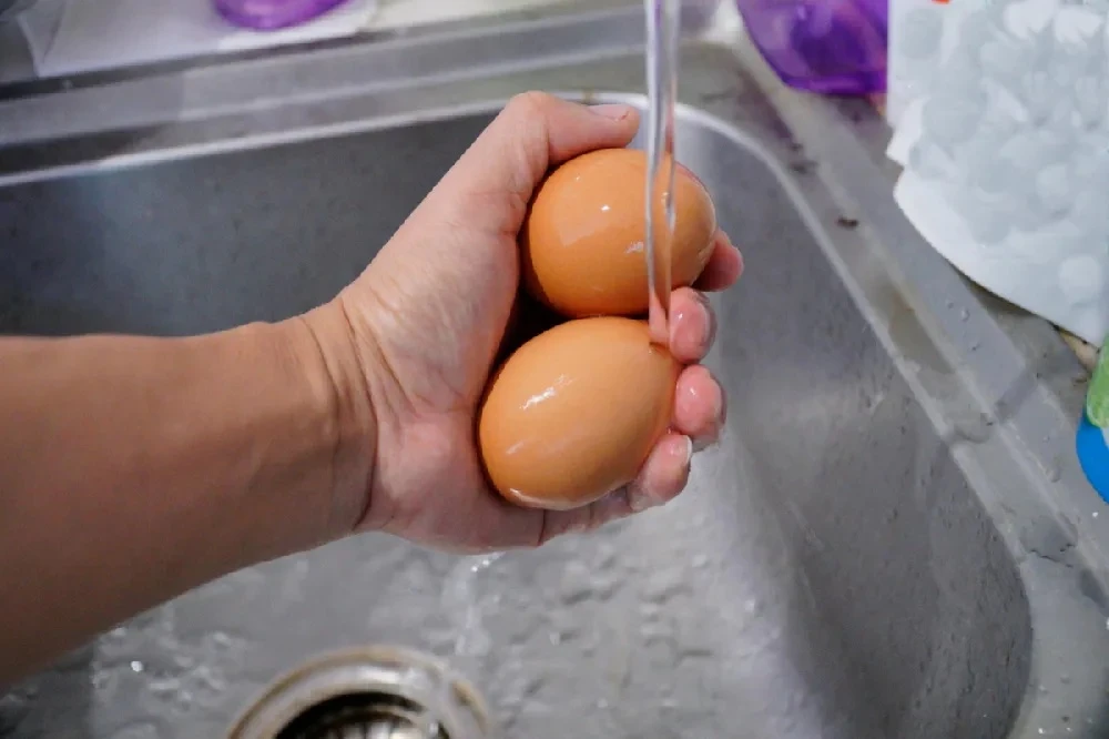 Россиянам разрешили не мыть яйца  🥚