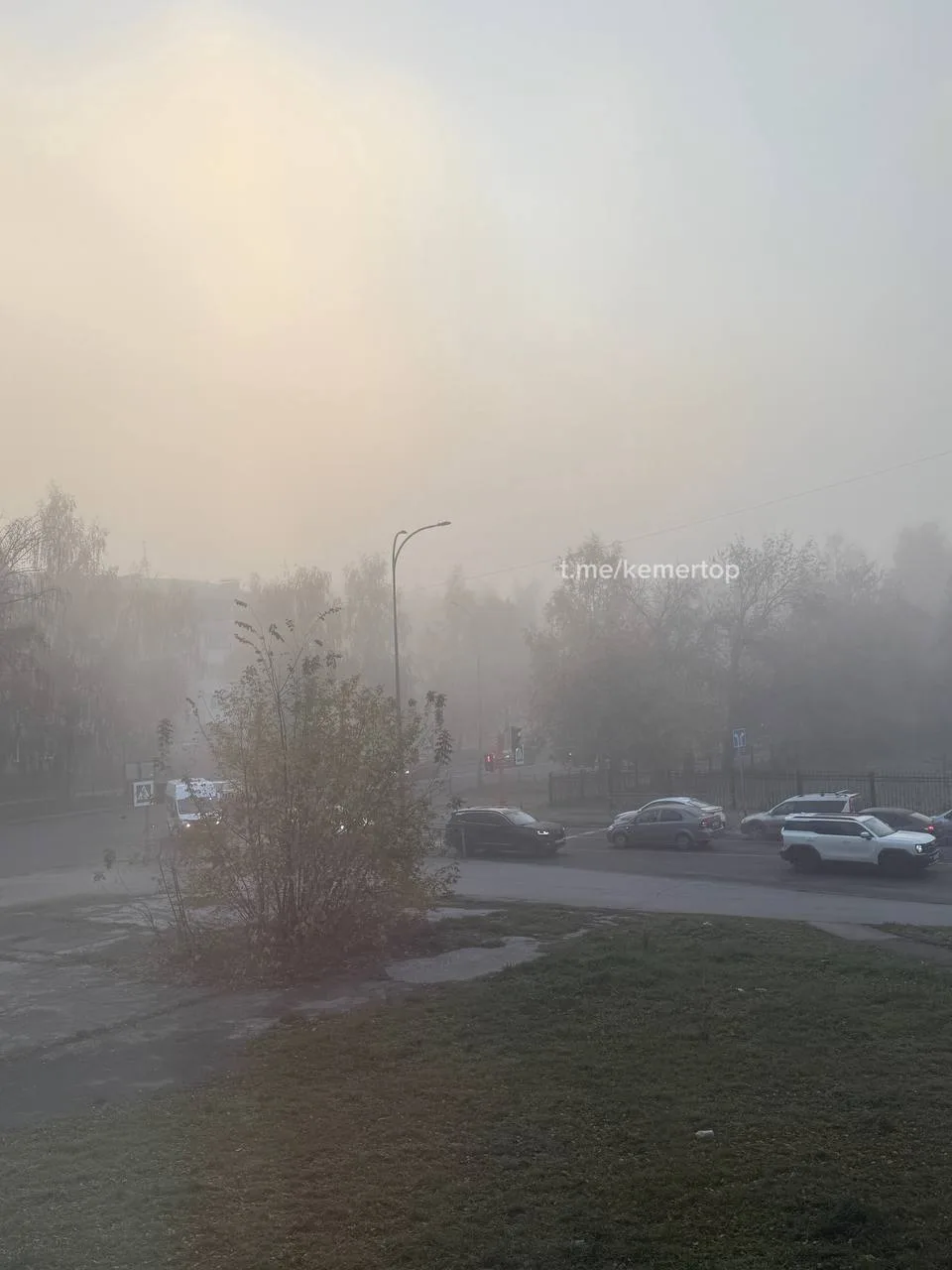 Сегодняшнее утро называется «Ёжик Кемеровчане в тумане»
