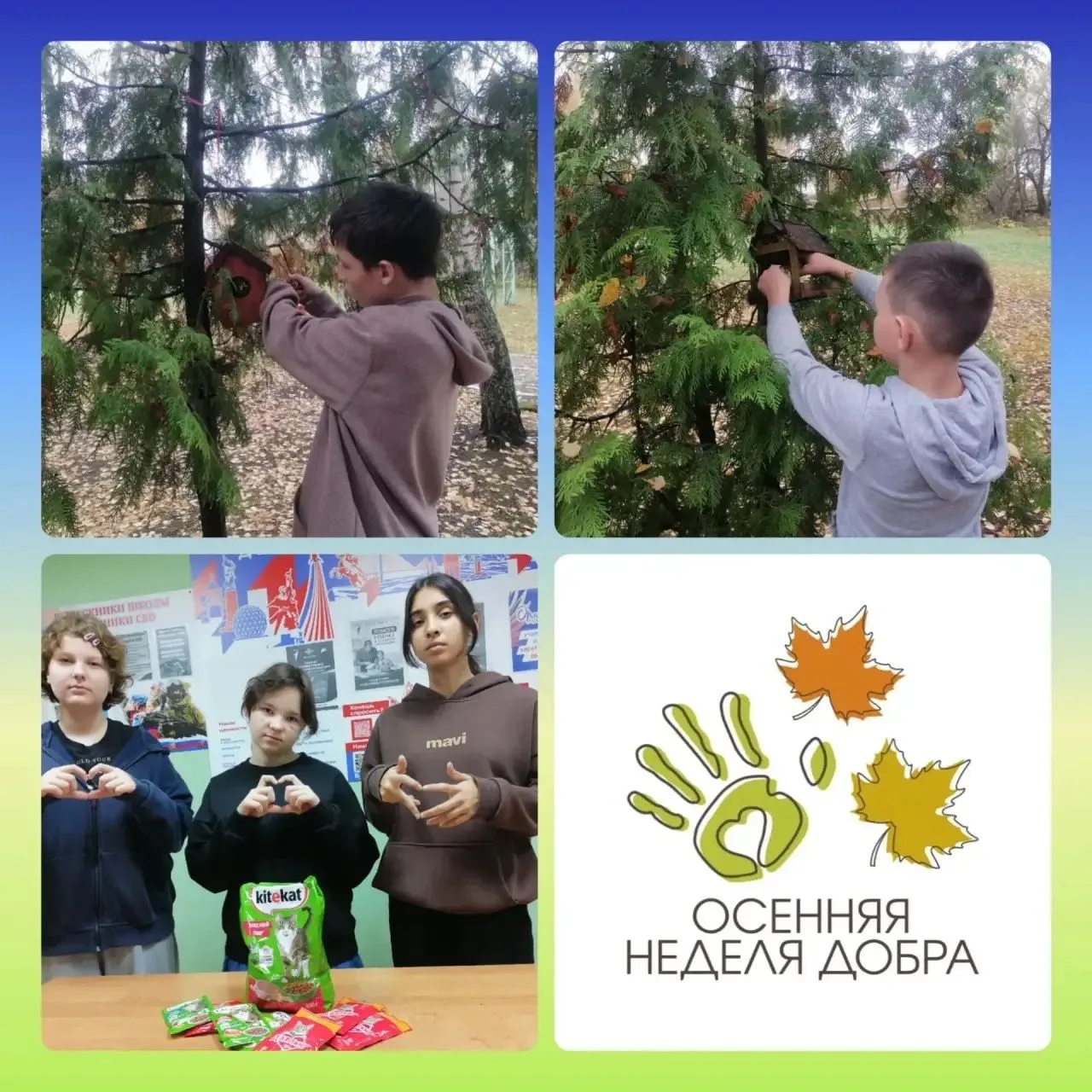 "Осенняя неделя добра "