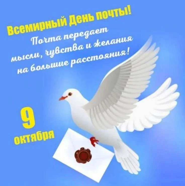 Наши каналы: