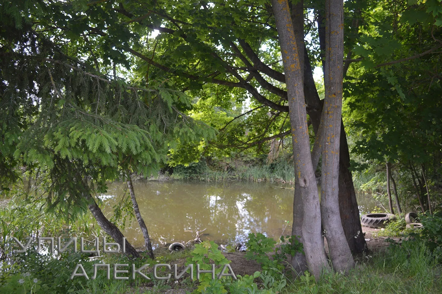 Улица Кольцевая