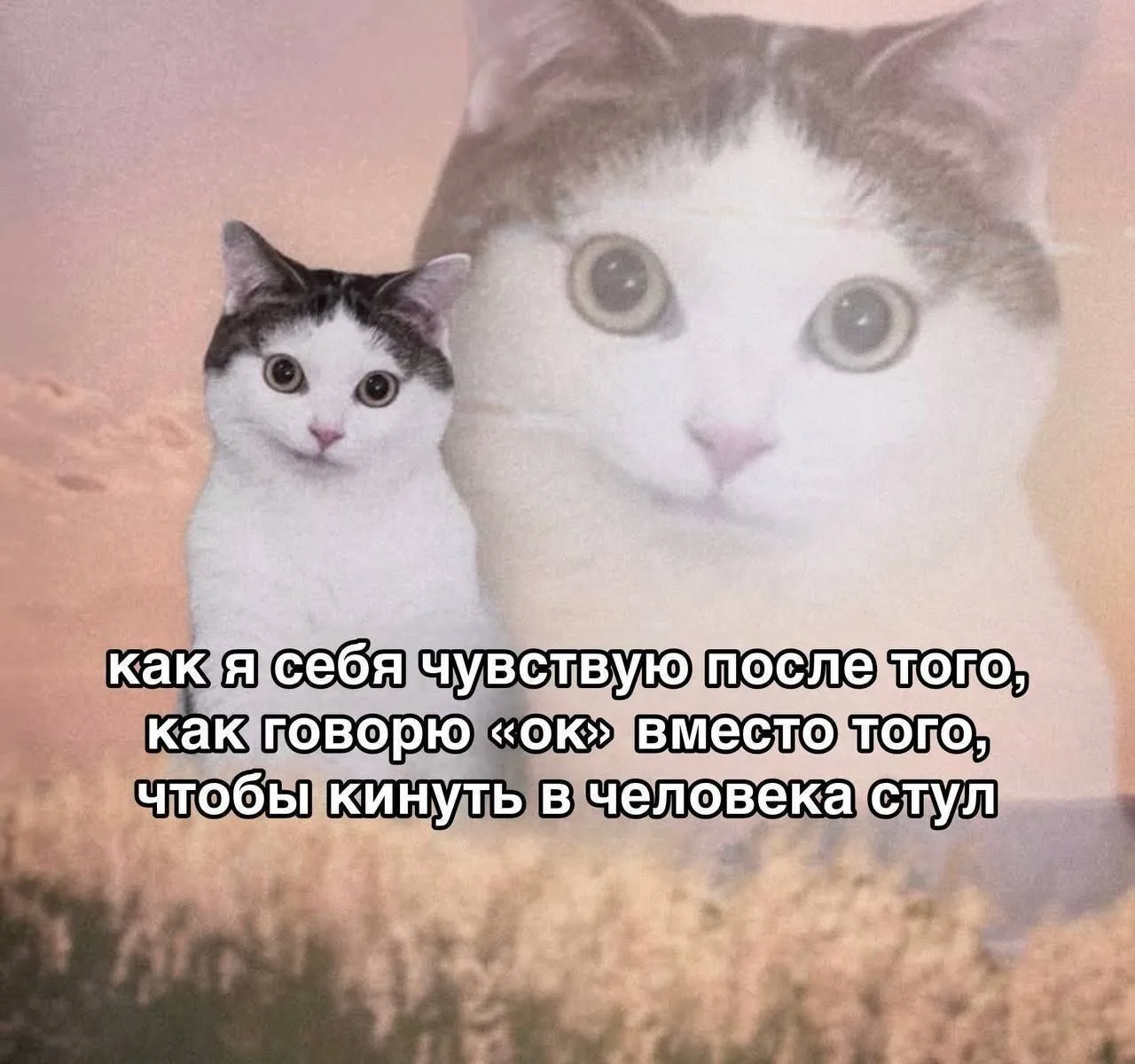 Очень сложно иногда сдерживаться #мемнаночь