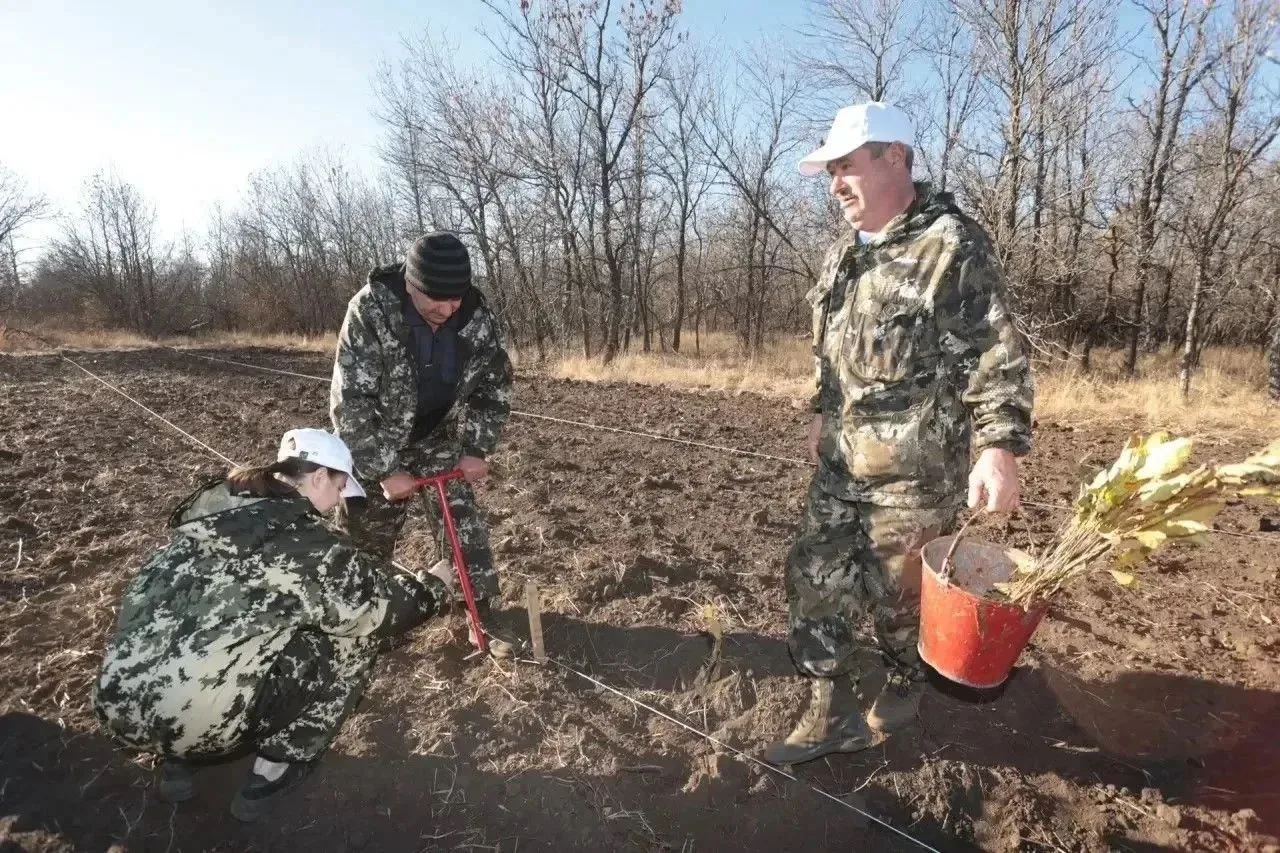 🌳В Оренбуржье более двух тысяч сеянцев высадили в рамках акции «Сохраним лес»