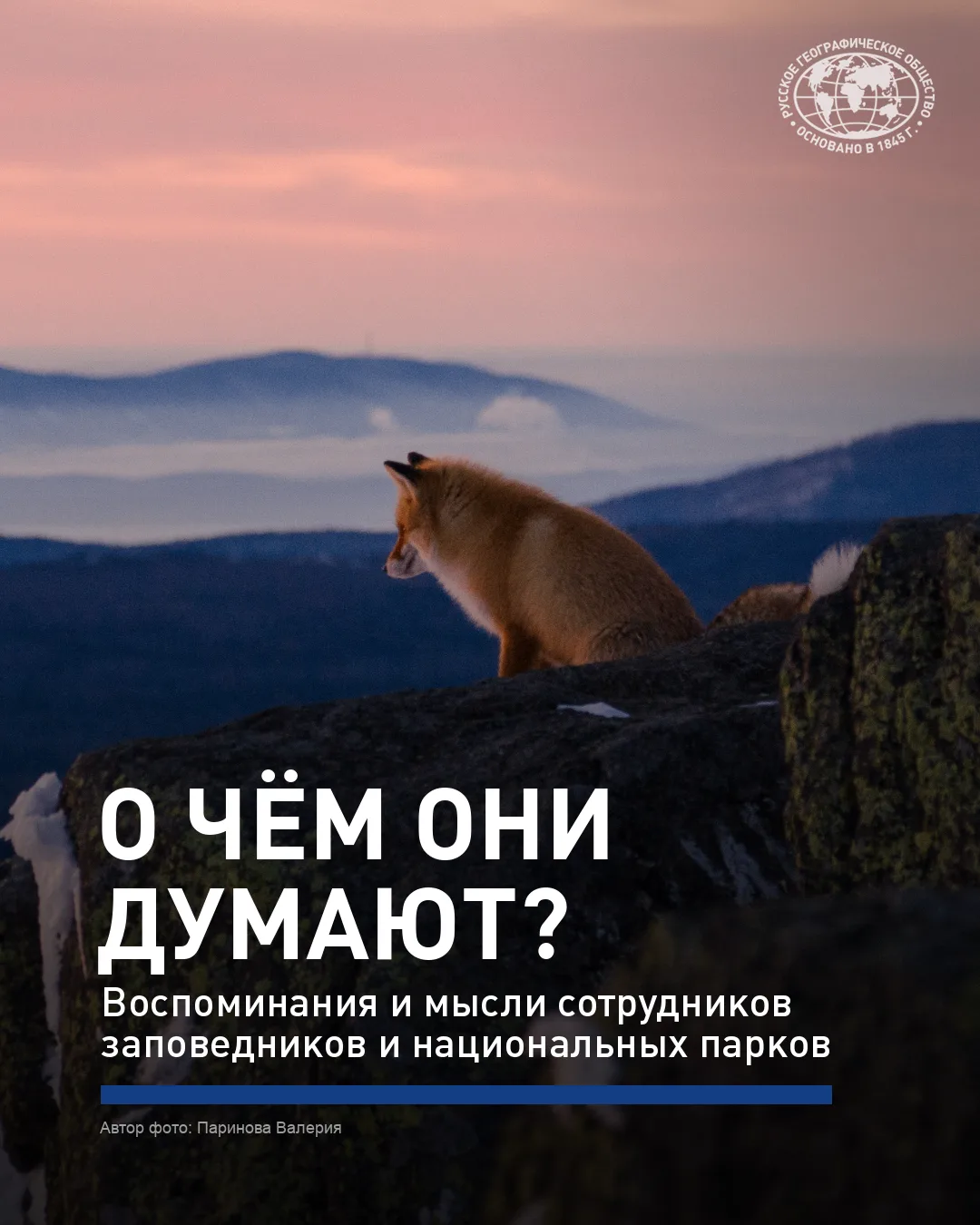 🐋 Наблюдать за китами из окна дома и отбирать забавные кадры из фотоловушек, а ещё бес...