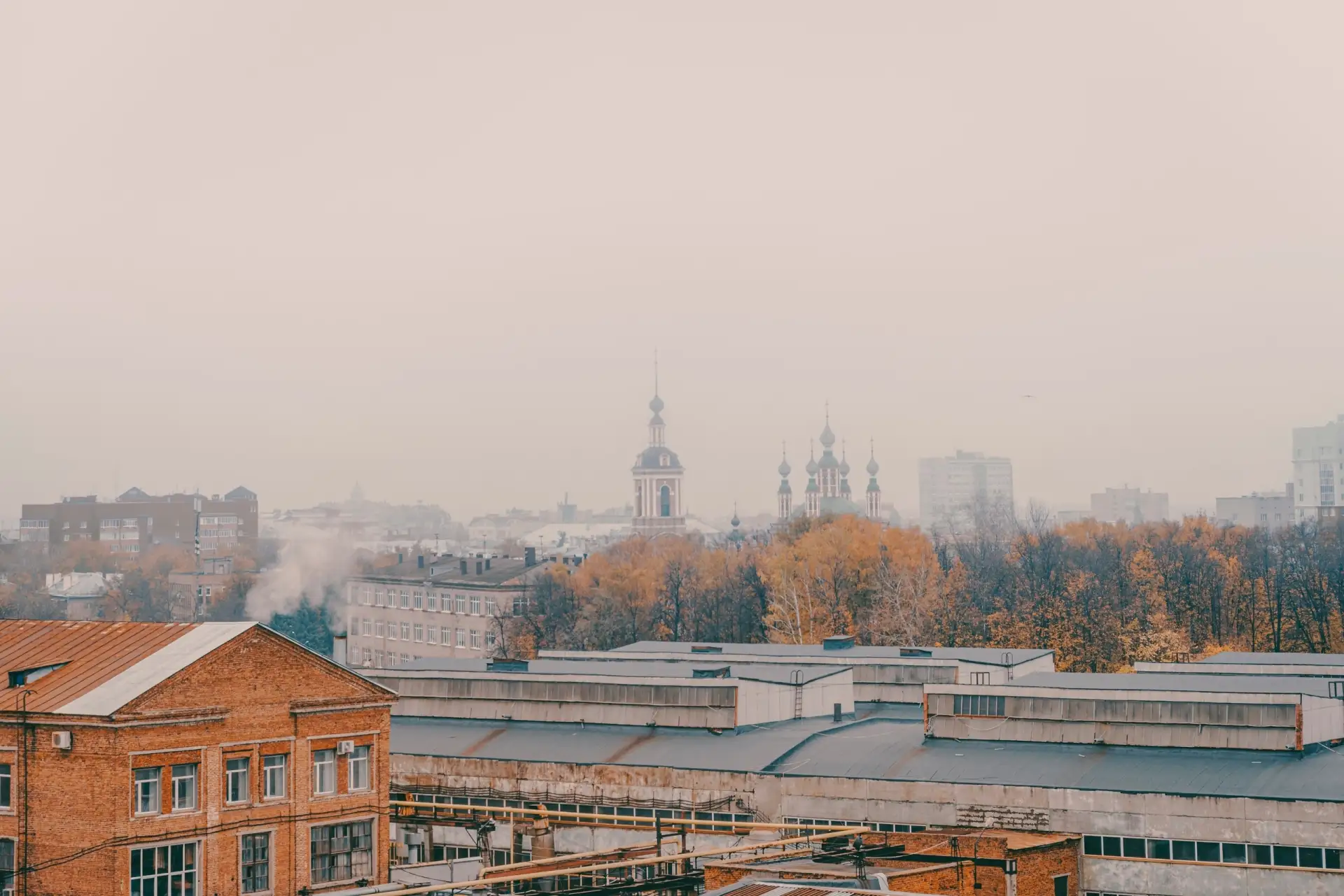 туманы осени