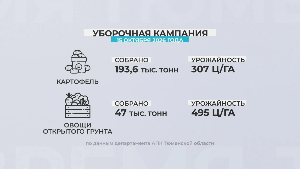 🚜 По сбору картофеля и овощей Тюменская область лидирует в Уральском федеральном округе.