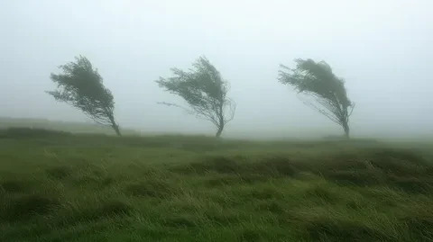 ПРЕДУПРЕЖДЕНИЯ