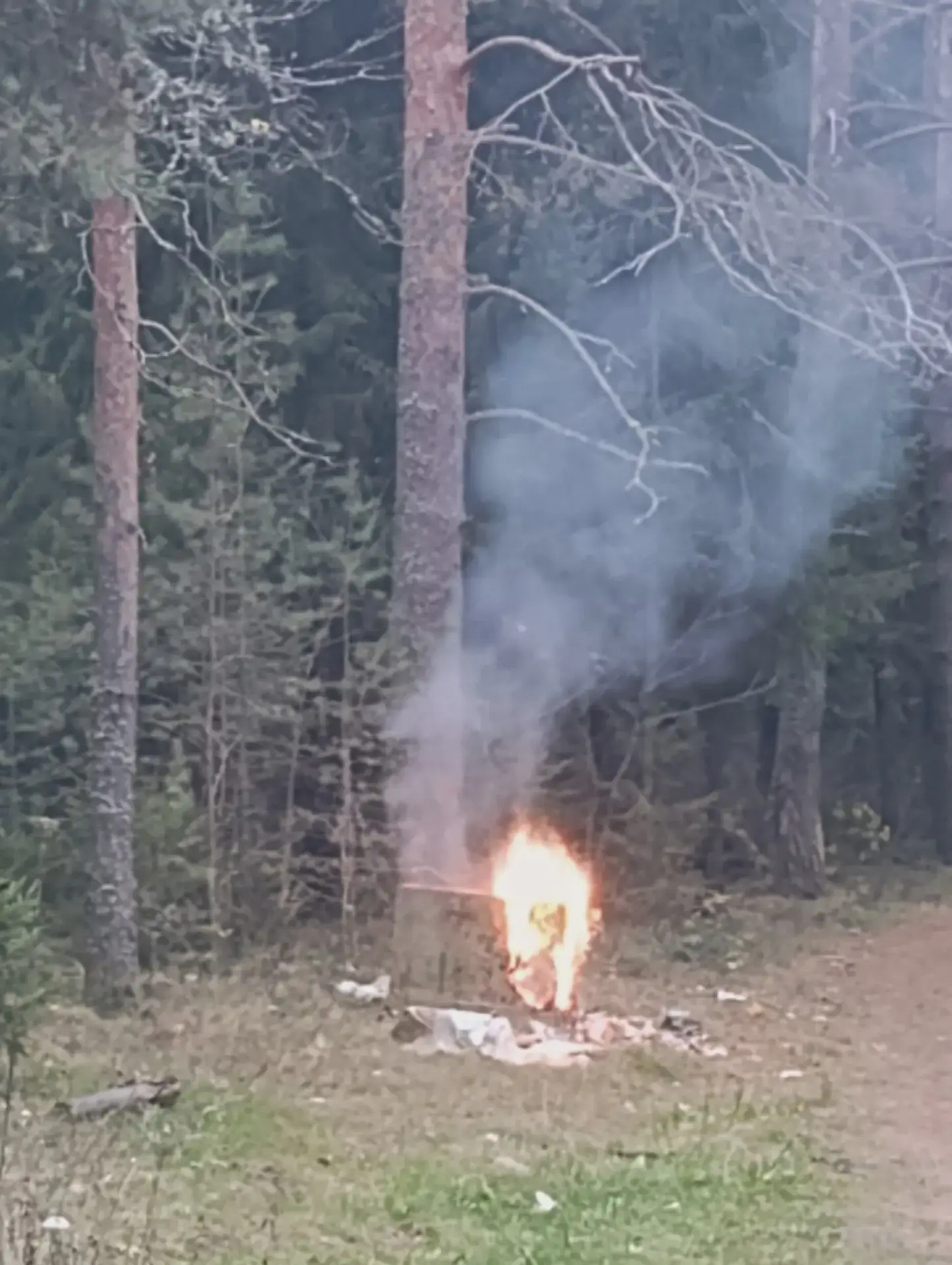 У Шихово заметили возгорание