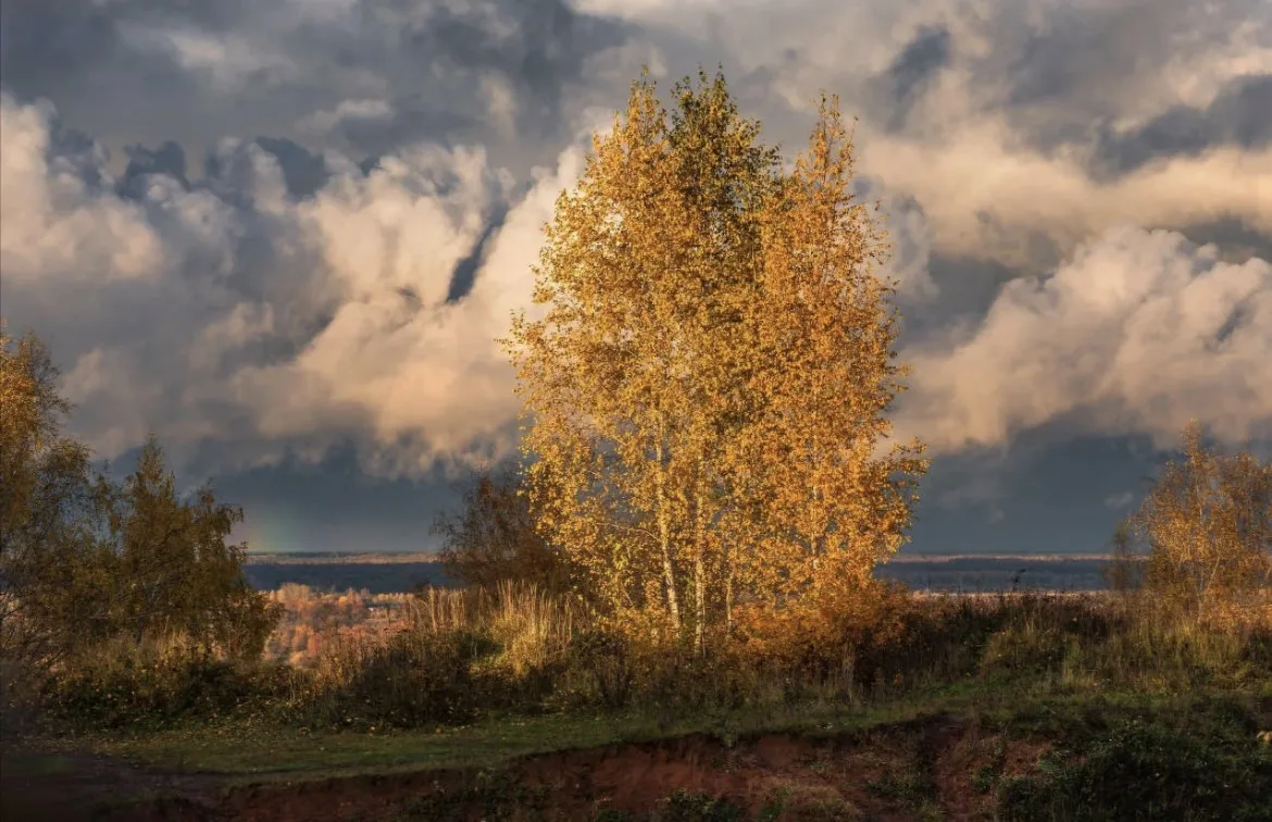 🌧 Ночные дожди: прогноз погоды в регионе на завтра