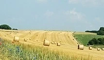Доброе утро, Менделеевск!