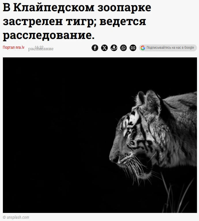 Убийца тигрицы в зоопарке Клайпеды "не найден". Прокуратуру это волнует не сильно