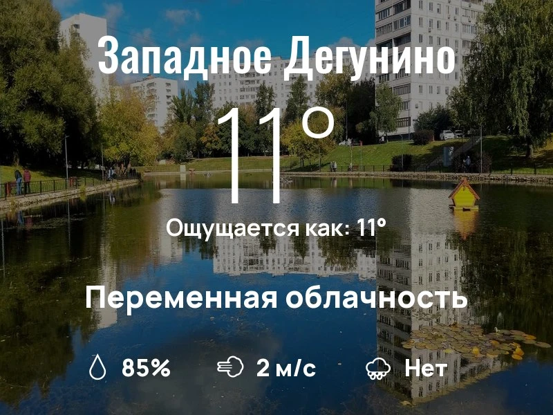 Что с погодой в Западном Дегунино?