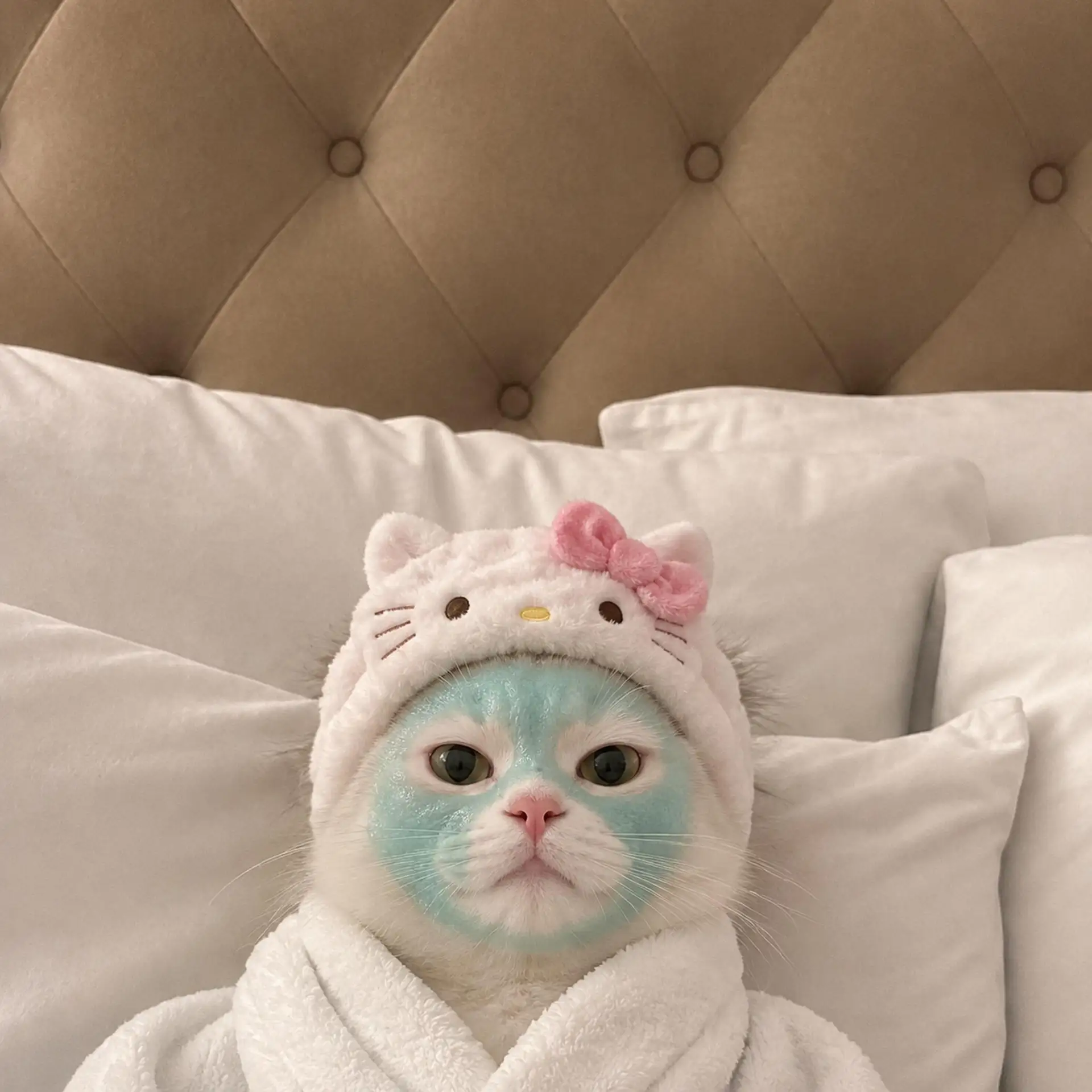 Сегодня котенок Луки на бьюти-настроениях 🧖🏼‍♀️💅