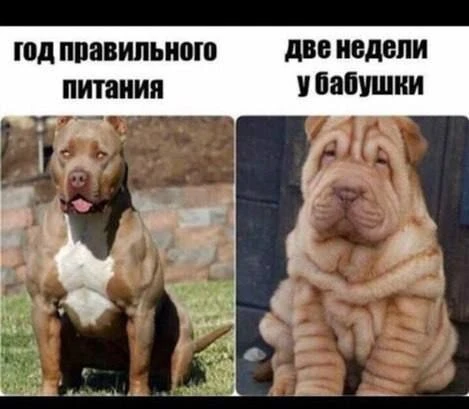 Мемы каждый день • Подписаться