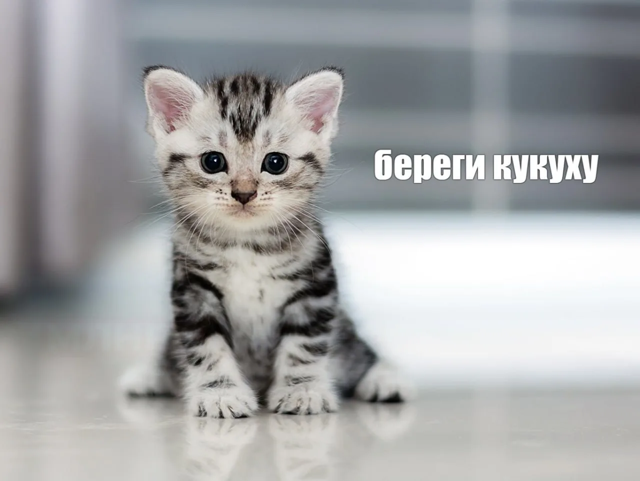Сегодня отмечают Всемирный день психического здоровья