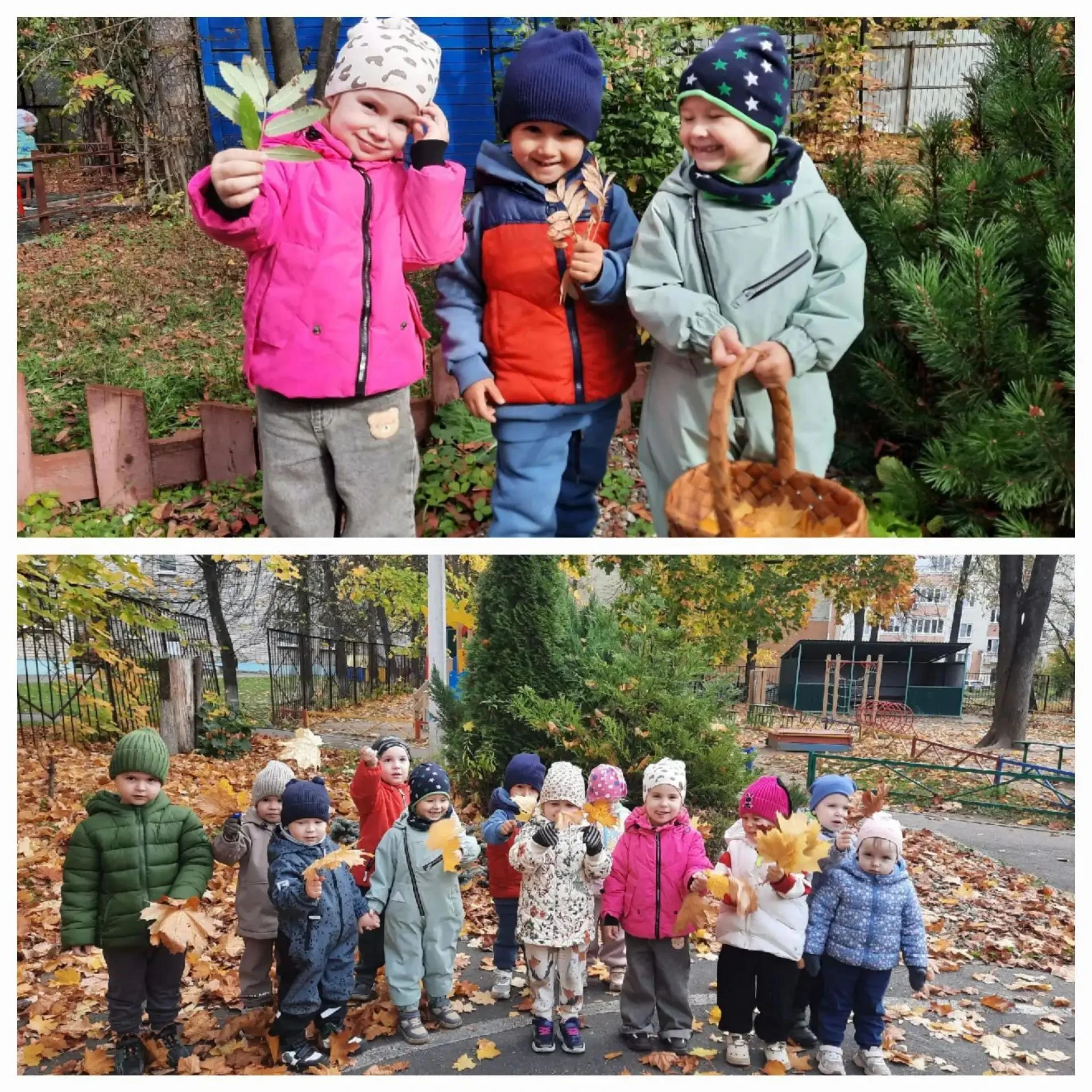 🍁 Осенние открытия группы «Пчёлки»: собираем краски осени! 🍁
