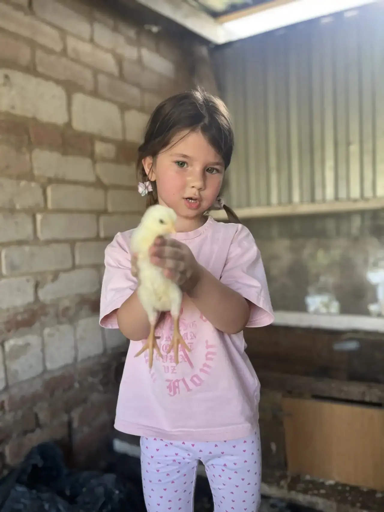 «Вот и будущая птичница! 🐣 Дети вернулись с экскурсии на птицефабрику под огромным впе...