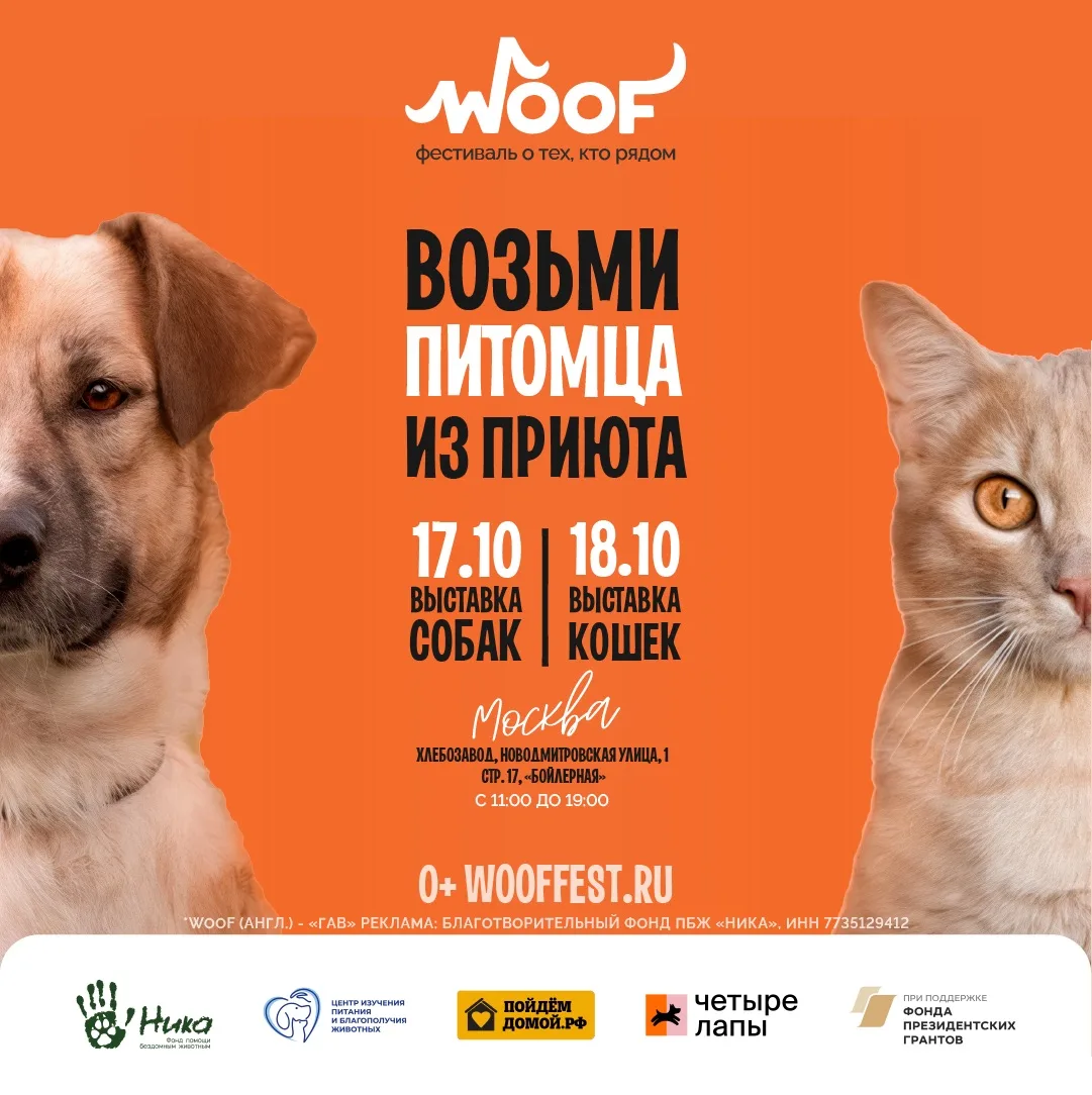 🐾 17 и 18 октября мы едем на WOOF!