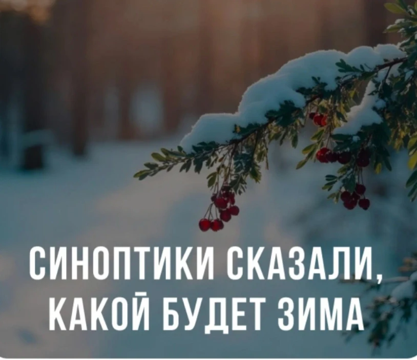 ☃️ Предстоящая зима может принести россиянам частые оттепели, резкие похолодания и быст...