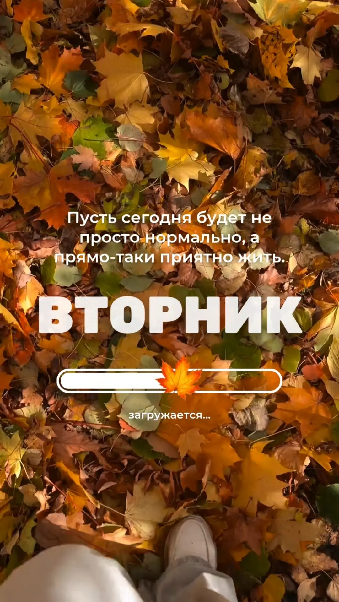 Пусть сегодня будет не просто нормально, а прямо-таки приятно жить.