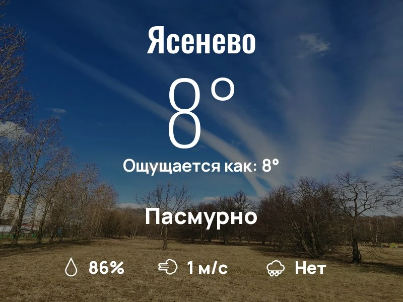 Что с погодой в Ясенево?