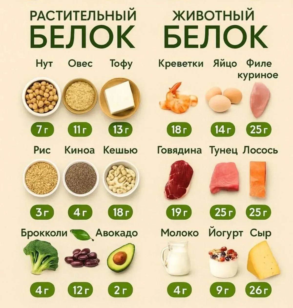 Растительный 🆚 Животный белок