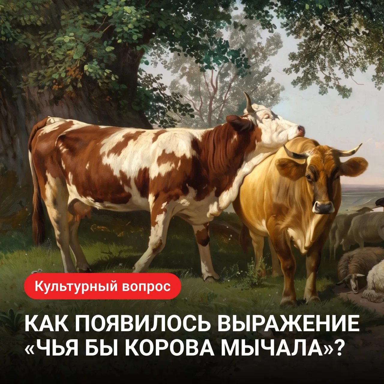 «Чья бы корова мычала»: откуда взялось знакомое выражение