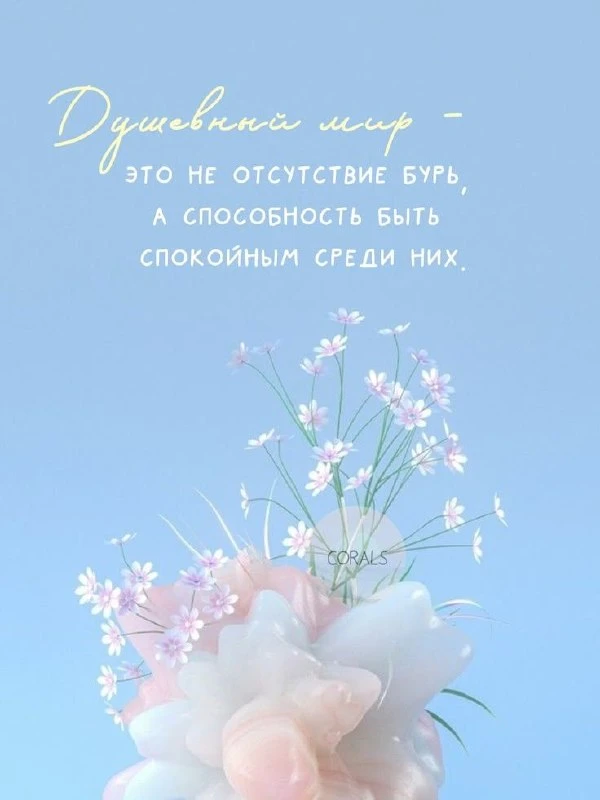 🌼Прикольные открытки