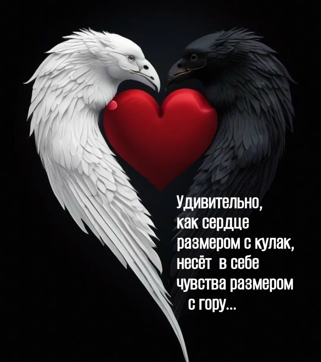 НАШИ КАНАЛЫ ДЛЯ ПОДПИСКИ: