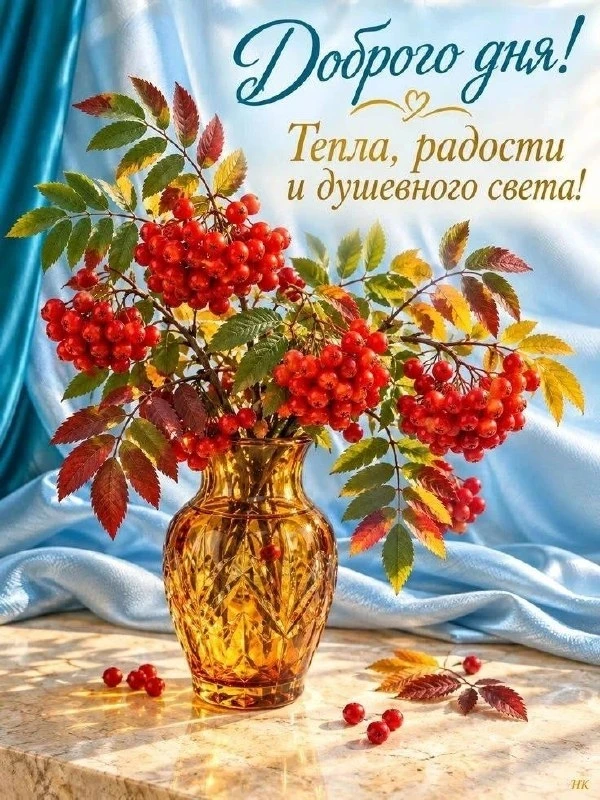 Открытки: подписаться ❤️