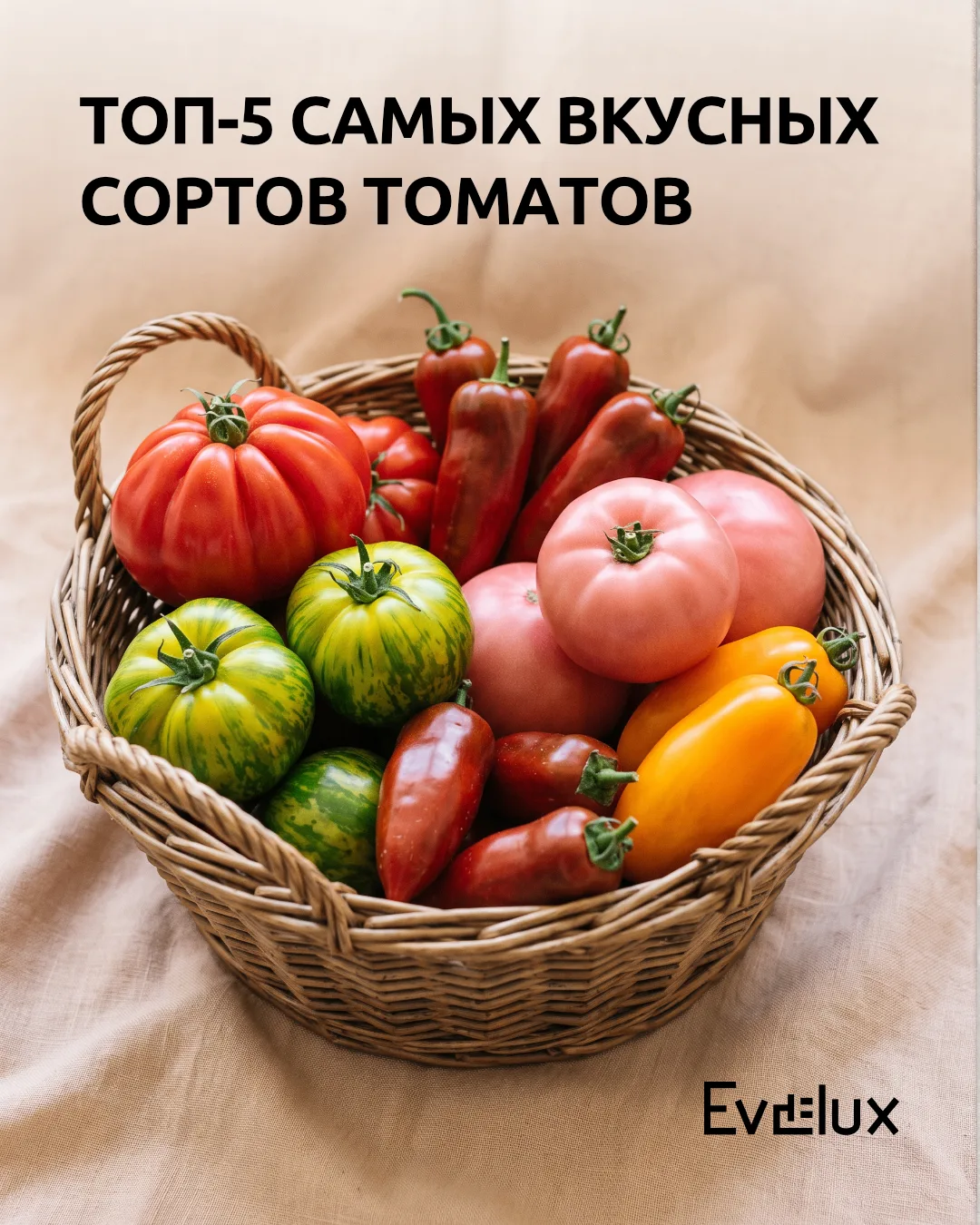 Что для вас важнее в томате? Сортов — сотни, и каждый со своим характером: один сладкий...
