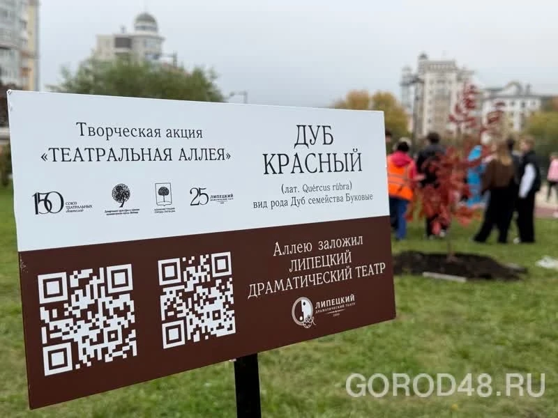 🌳 В Липецке на Городище заложили новую «Театральную аллею»