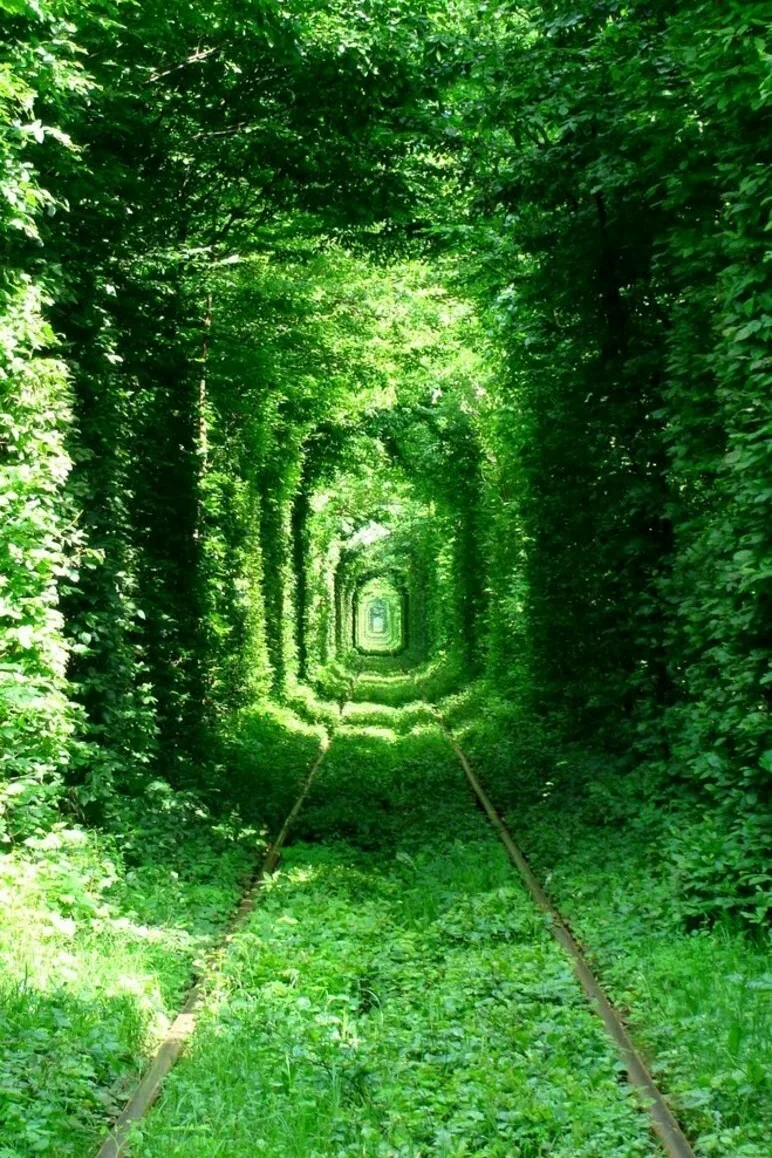 Когда человек причиняет нам боль, чаще всего он сам глубоко несчастен. Счастливые не ха...