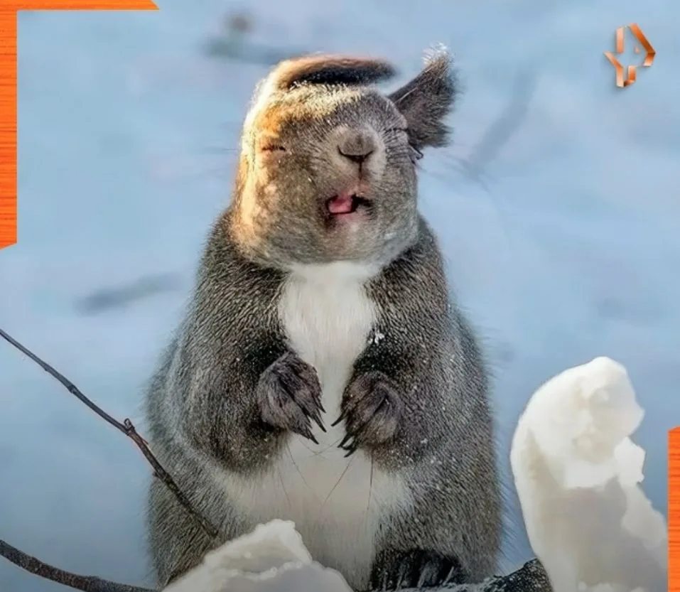 🤣 Унесенная в будни ...