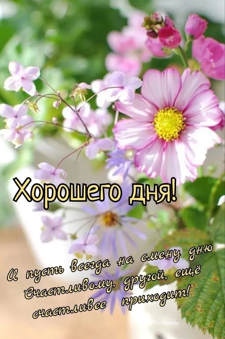🌸🌿🌸🌿💛🌿🌸🌿🌸🌿