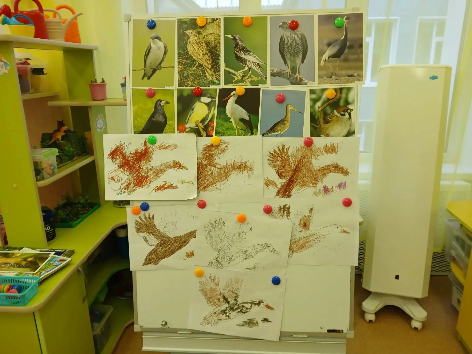 🕊 Всемирный день перелётных птиц 🕊