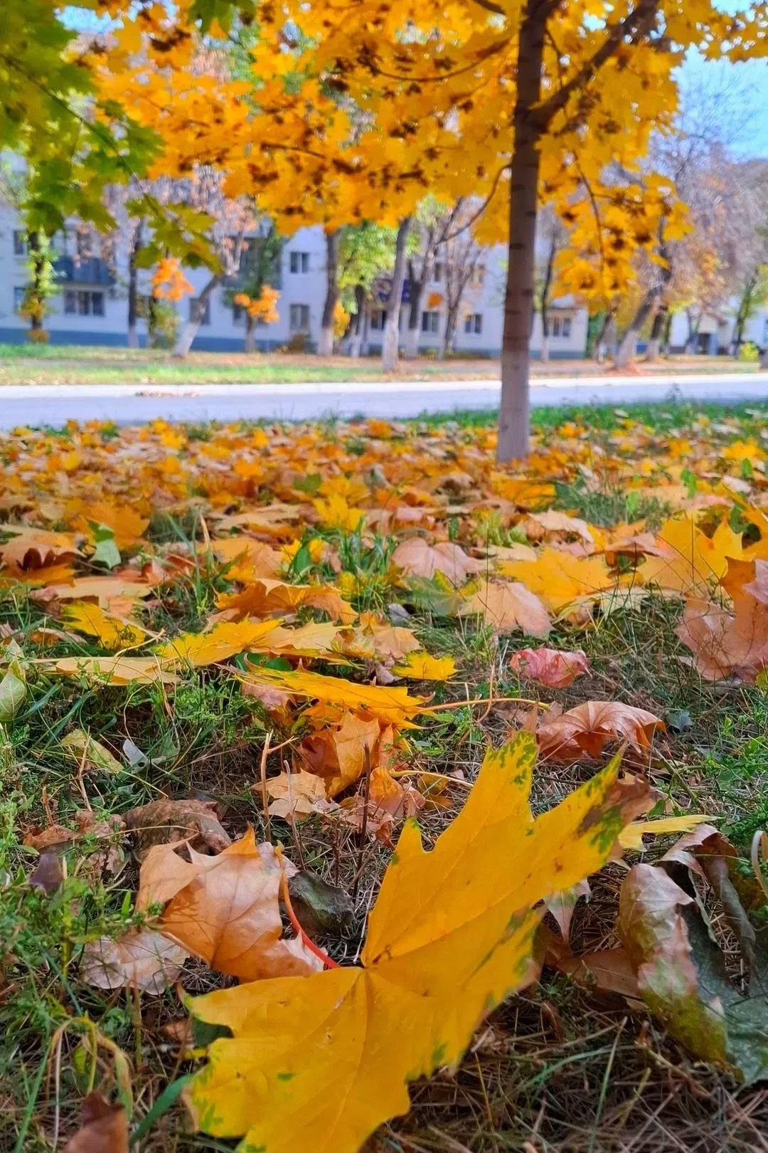 Доброе утро, Новокуйбышевск! 🍁🍂