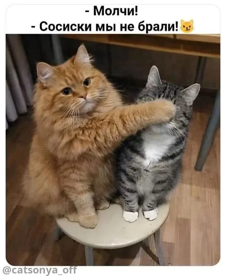 ➡️ SyntxAi