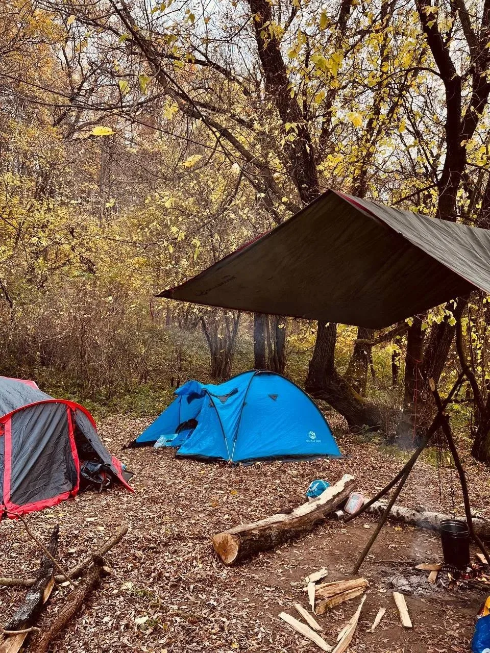 🍂 Золотую осень на Оке встретили старшеклассники.